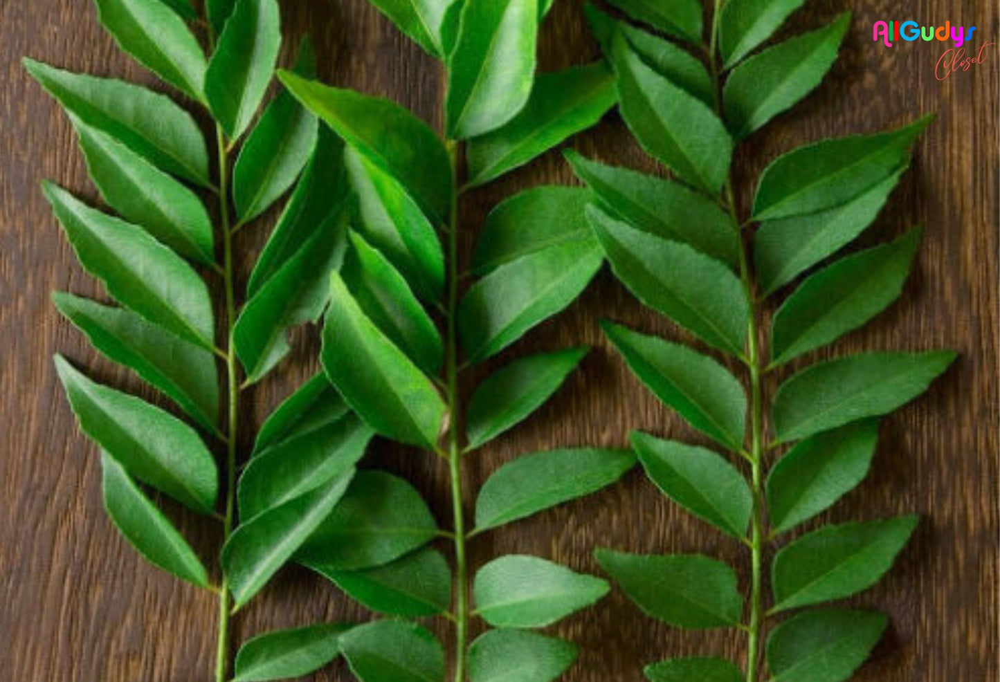 Fresh Organic Curry Leaves, Texas, USA Grown! Curry Leaves Stems (Kari Patta)